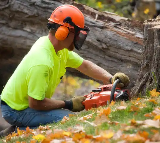 tree services Batavia